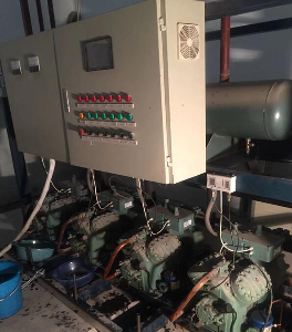 中央成人抖音91免费看维修