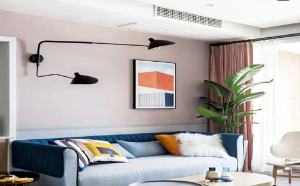 中央成人抖音91免费看安装，小户型原来可以这么香！